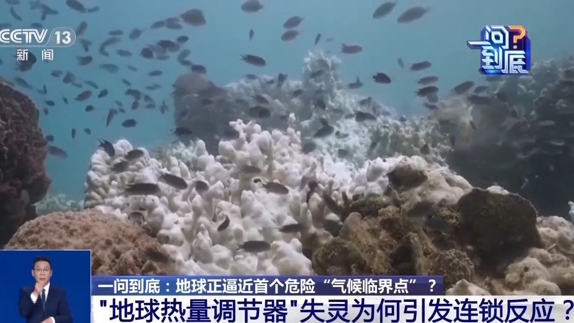 地球正逼近首个危险“气候临界点”，会带来哪些影响？