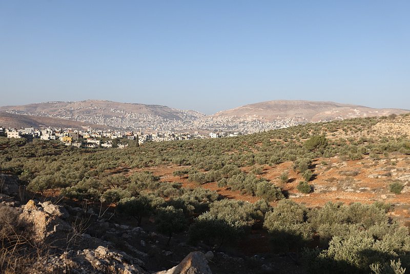 巴勒斯坦谴责以色列定居者在约旦河西岸实施暴力行为