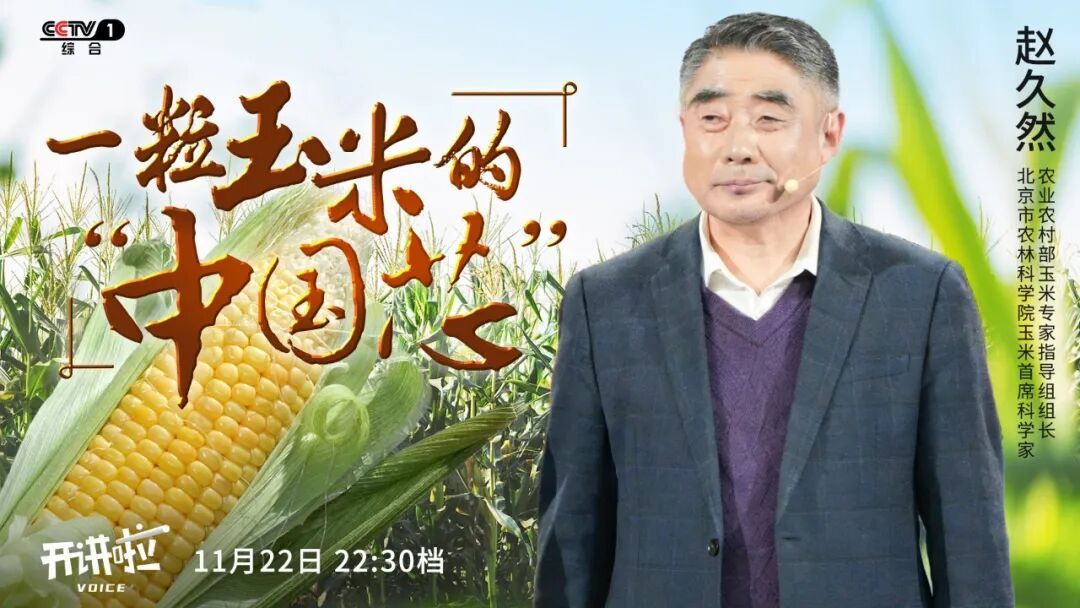 如果地球只能保留一种作物，会是什么？