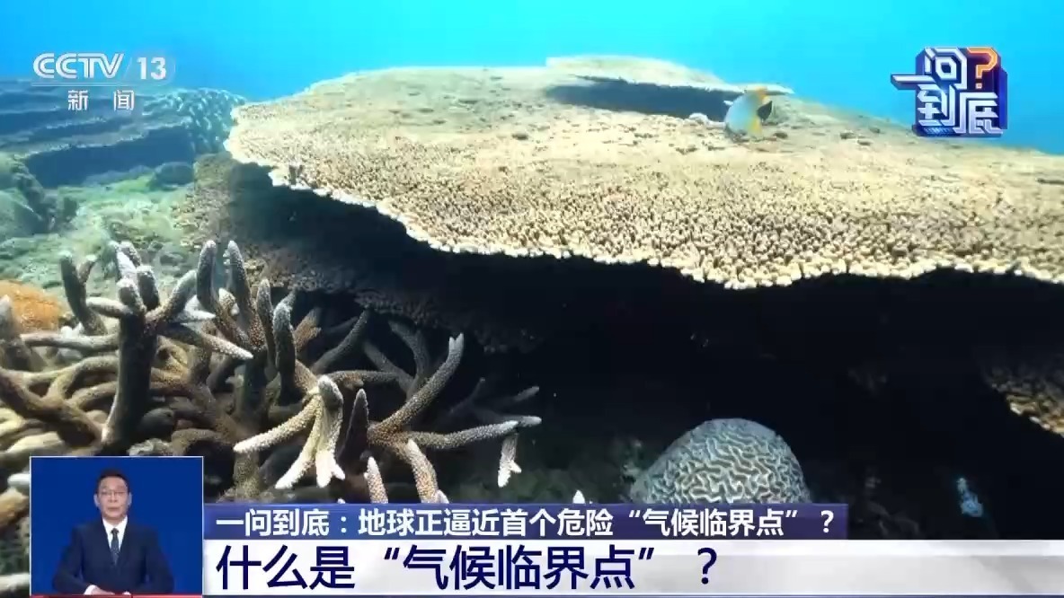 地球正逼近首个危险“气候临界点”，会带来哪些影响？