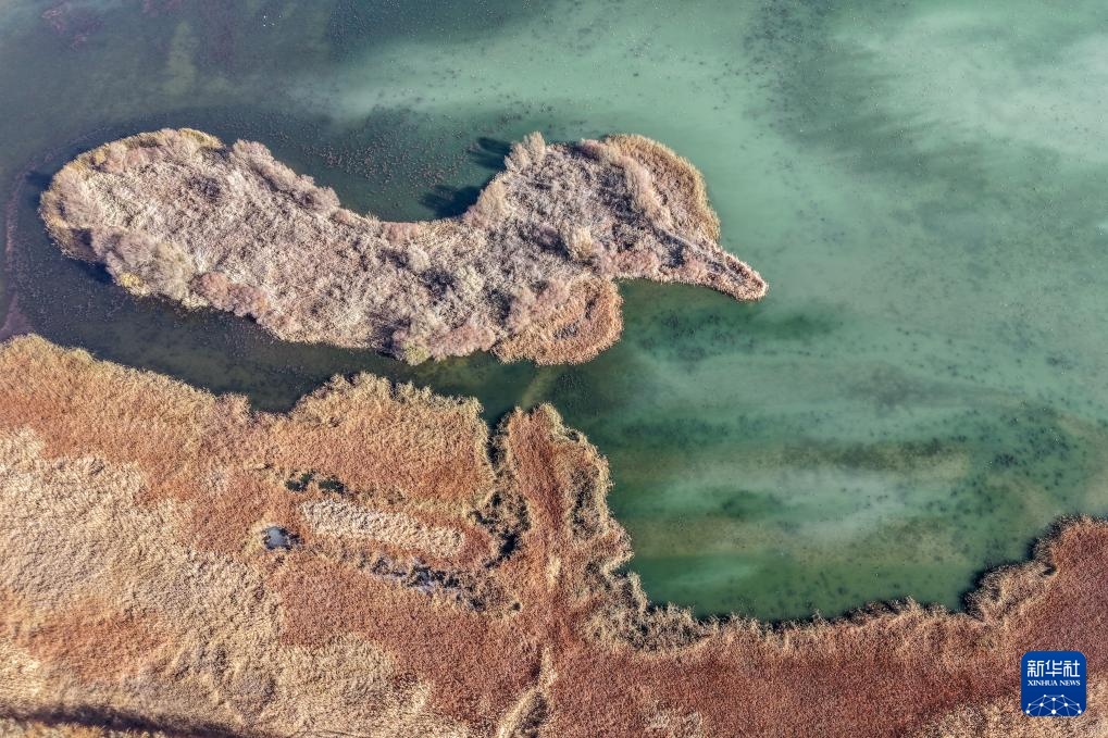 河西走廊：候鸟迁徙路线上的“生态驿站”