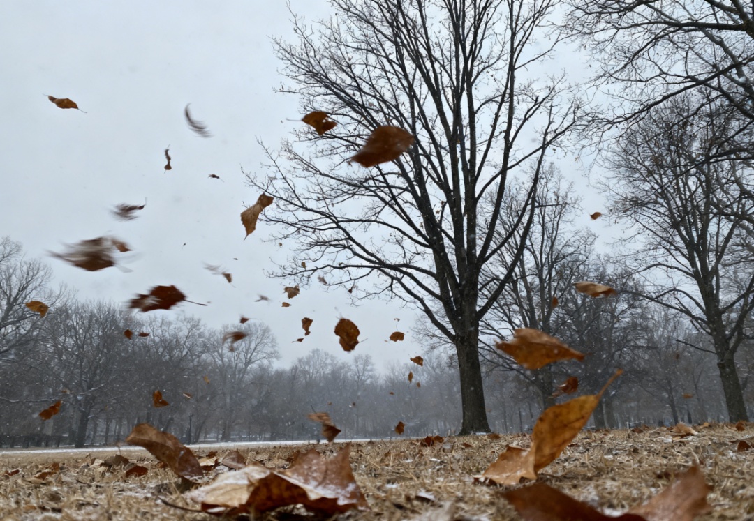 新一轮冷空气即将来袭，注意防范！