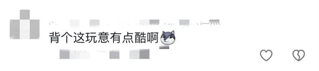 乘客带巨型馕上飞机，大到盖住空姐！众人帮塞行李箱