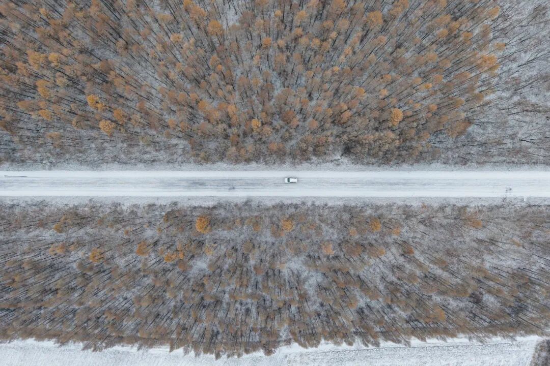 今日小雪 | 霜雪初降，你的冬日浪漫已上线