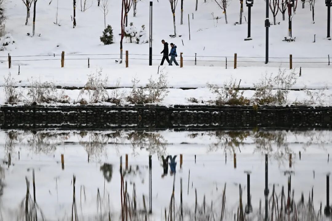 今日小雪 | 霜雪初降，你的冬日浪漫已上线