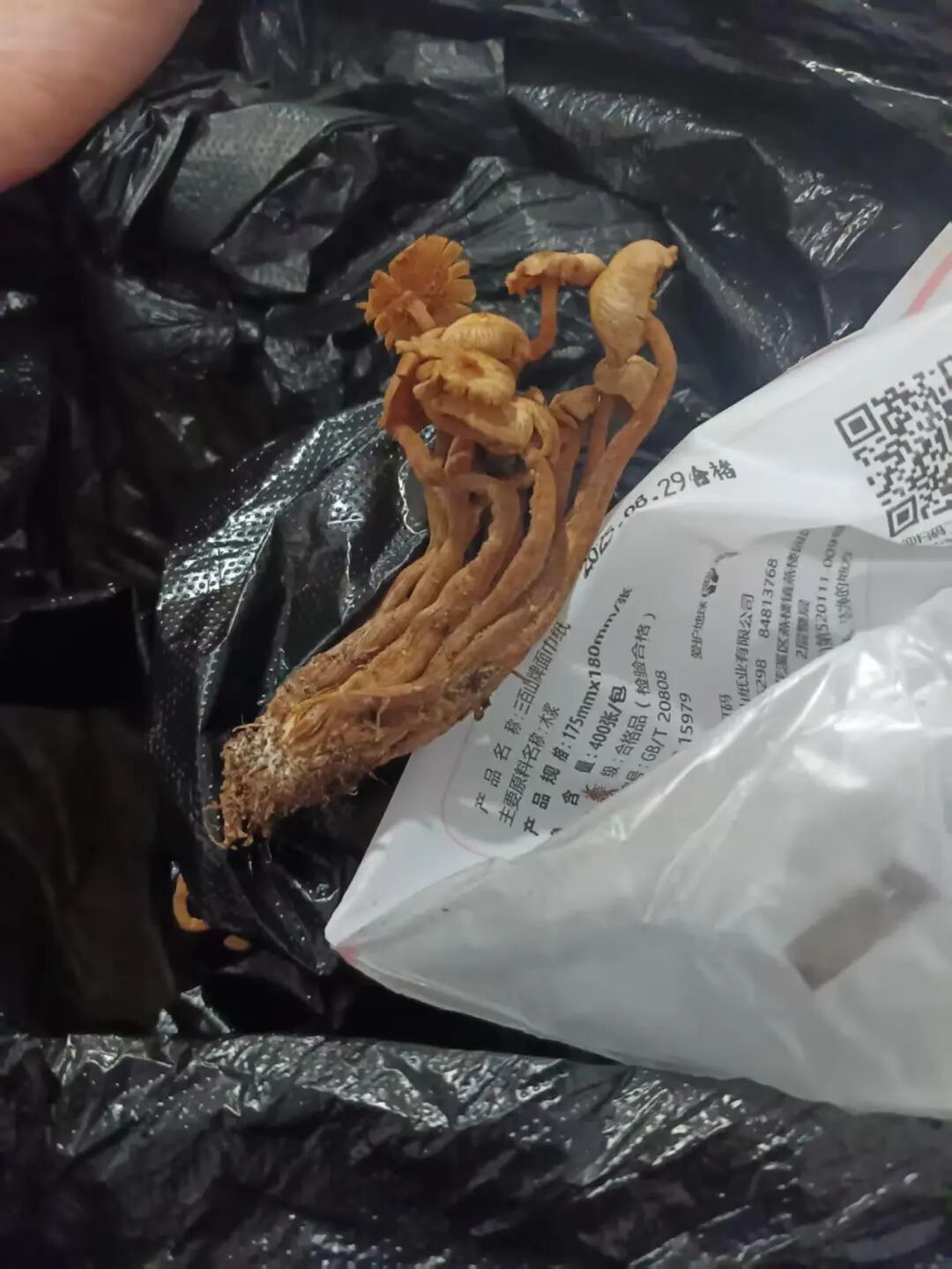 3人不幸离世,亲属:中午吃了晚上又吃,专家紧急提醒→ 3人不幸离世,亲属:中午吃了晚上又吃,专家紧急提醒→