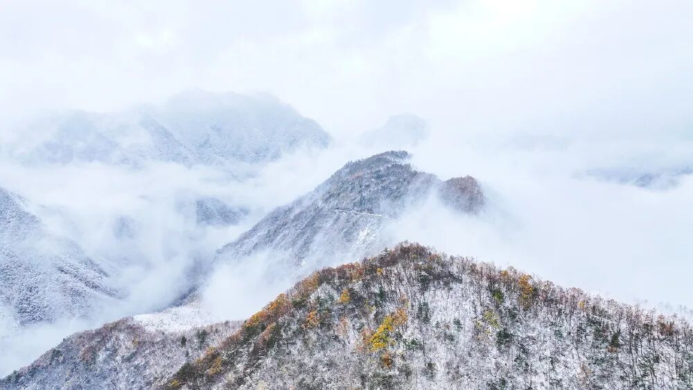 今日小雪 | 霜雪初降，你的冬日浪漫已上线