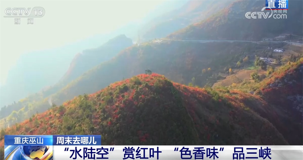 以红叶为“媒”、“跟着课本去旅行”成亮点 场景上新增加文旅消费新体验 以红叶为“媒”、“跟着课本去旅行”成亮点 场景上新增加文旅消费新体验