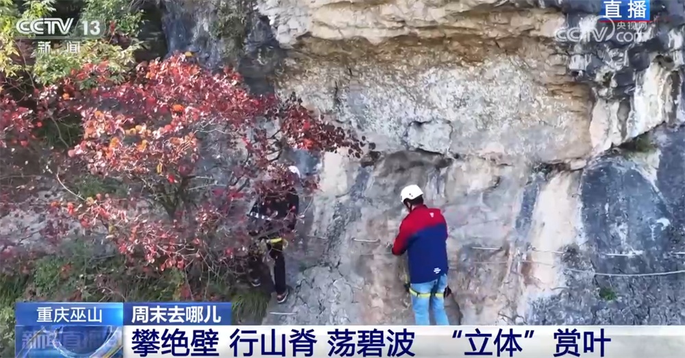 以红叶为“媒”、“跟着课本去旅行”成亮点 场景上新增加文旅消费新体验 以红叶为“媒”、“跟着课本去旅行”成亮点 场景上新增加文旅消费新体验