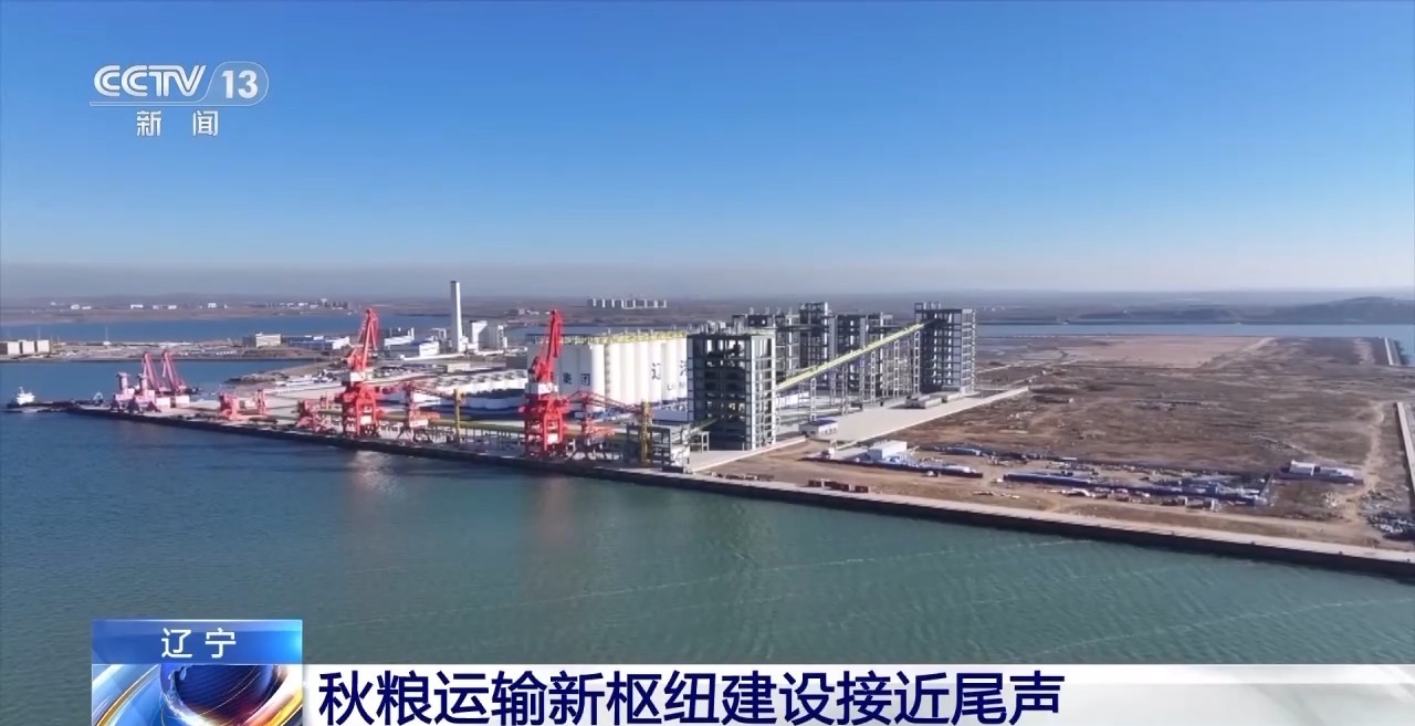 破解运力紧张 黑土地秋粮运输按下“加速键”