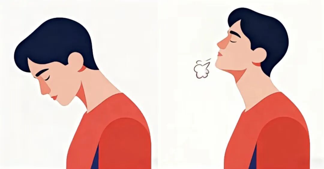 抓住早上起床后的“黄金3分钟”,6个简单小动作助你延年益寿、越活越年轻! 抓住早上起床后的“黄金3分钟”,6个简单小动作助你延年益寿、越活越年轻!