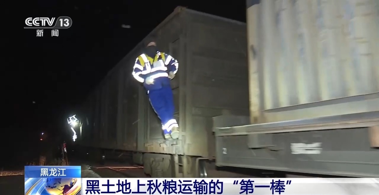 破解运力紧张 黑土地秋粮运输按下“加速键”