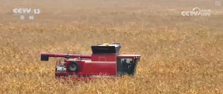 智慧运输!创新“组合拳”保障粮食运输“大动脉”智能、绿色、高效 智慧运输!创新“组合拳”保障粮食运输“大动脉”智能、绿色、高效