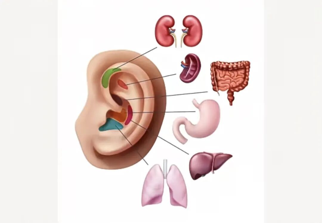 抓住早上起床后的“黄金3分钟”,6个简单小动作助你延年益寿、越活越年轻! 抓住早上起床后的“黄金3分钟”,6个简单小动作助你延年益寿、越活越年轻!
