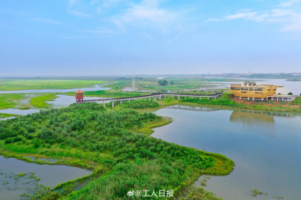 鸟来了,鸟多了,鸟美了! 鸟来了,鸟多了,鸟美了!