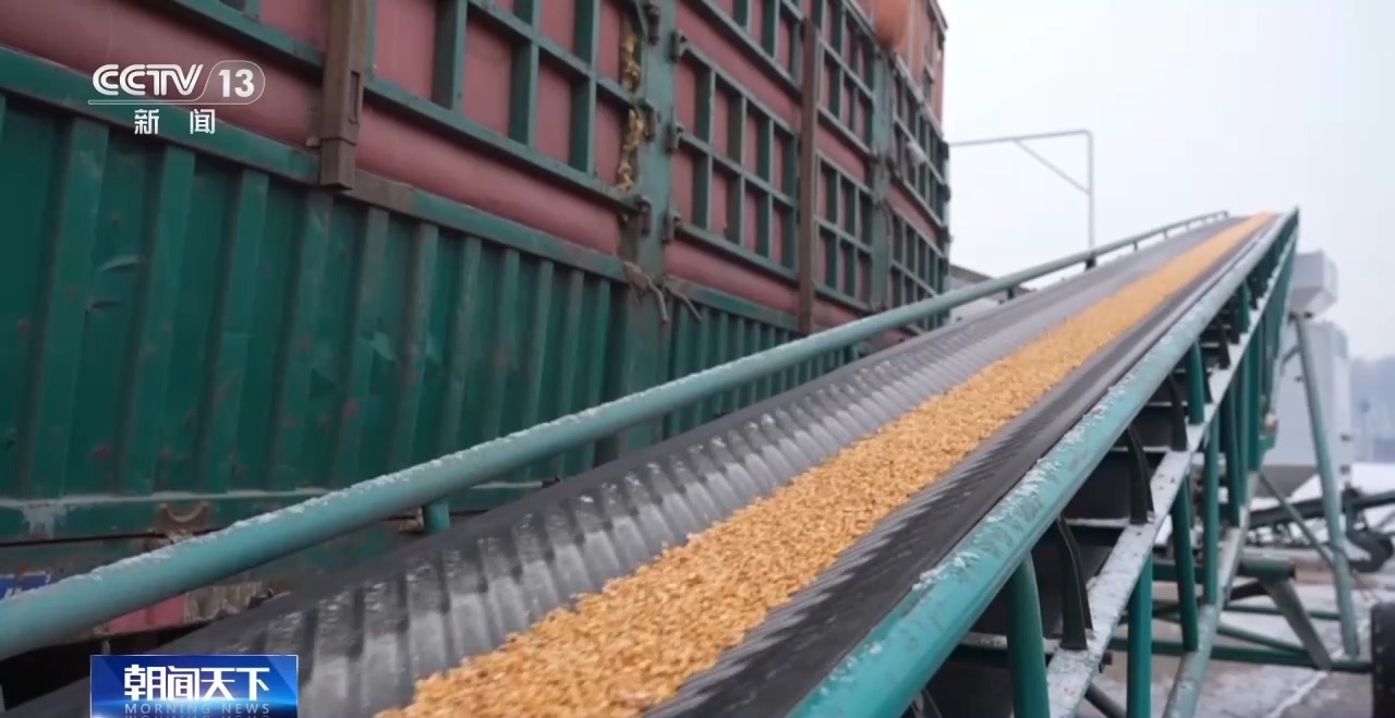 破解运力紧张 黑土地秋粮运输按下“加速键”