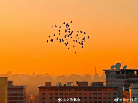 美好!北京晚霞就是甜蜜的颜色 美好!北京晚霞就是甜蜜的颜色