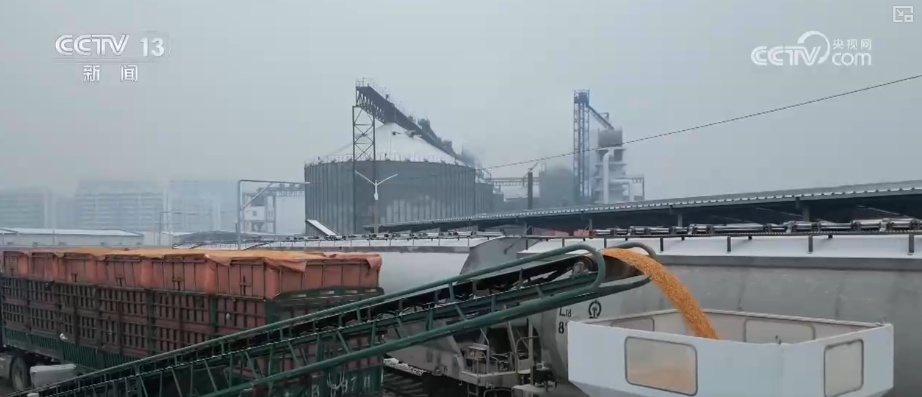 智慧运输!创新“组合拳”保障粮食运输“大动脉”智能、绿色、高效 智慧运输!创新“组合拳”保障粮食运输“大动脉”智能、绿色、高效