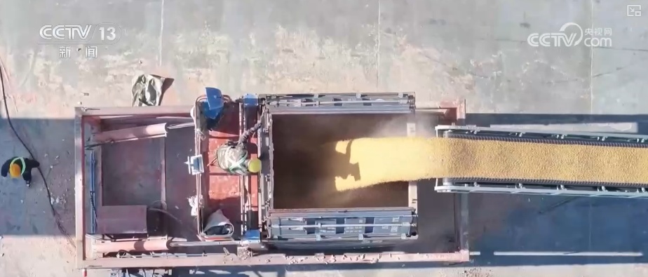 智慧运输!创新“组合拳”保障粮食运输“大动脉”智能、绿色、高效 智慧运输!创新“组合拳”保障粮食运输“大动脉”智能、绿色、高效