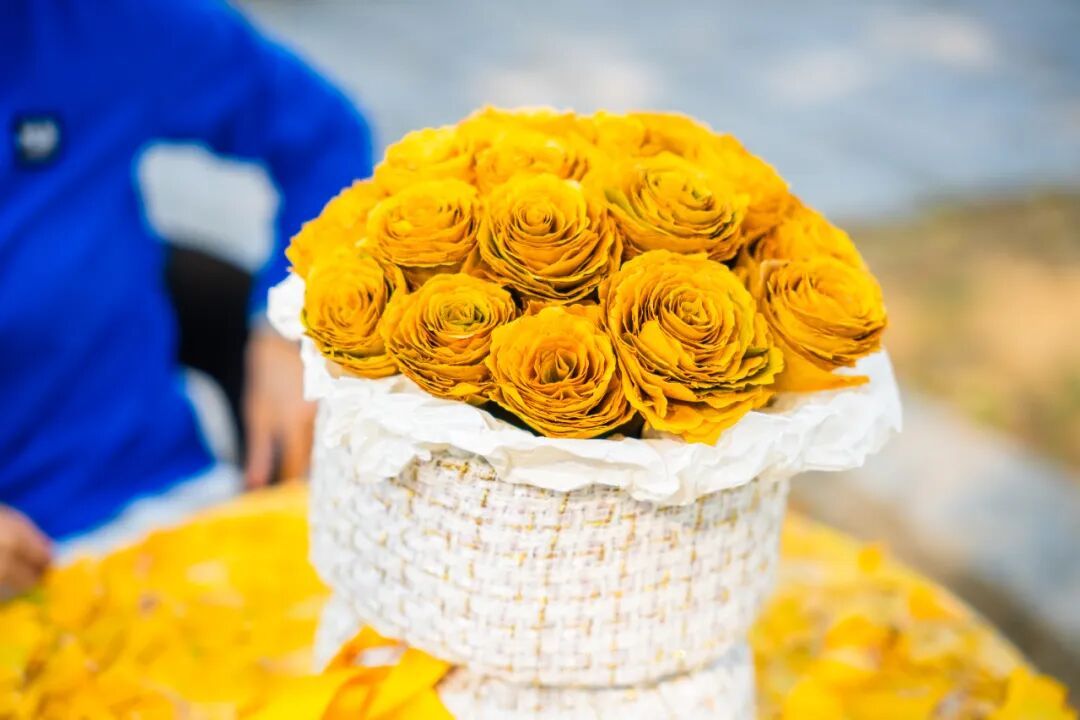 全网刷屏的“银杏伞”，南京也有！