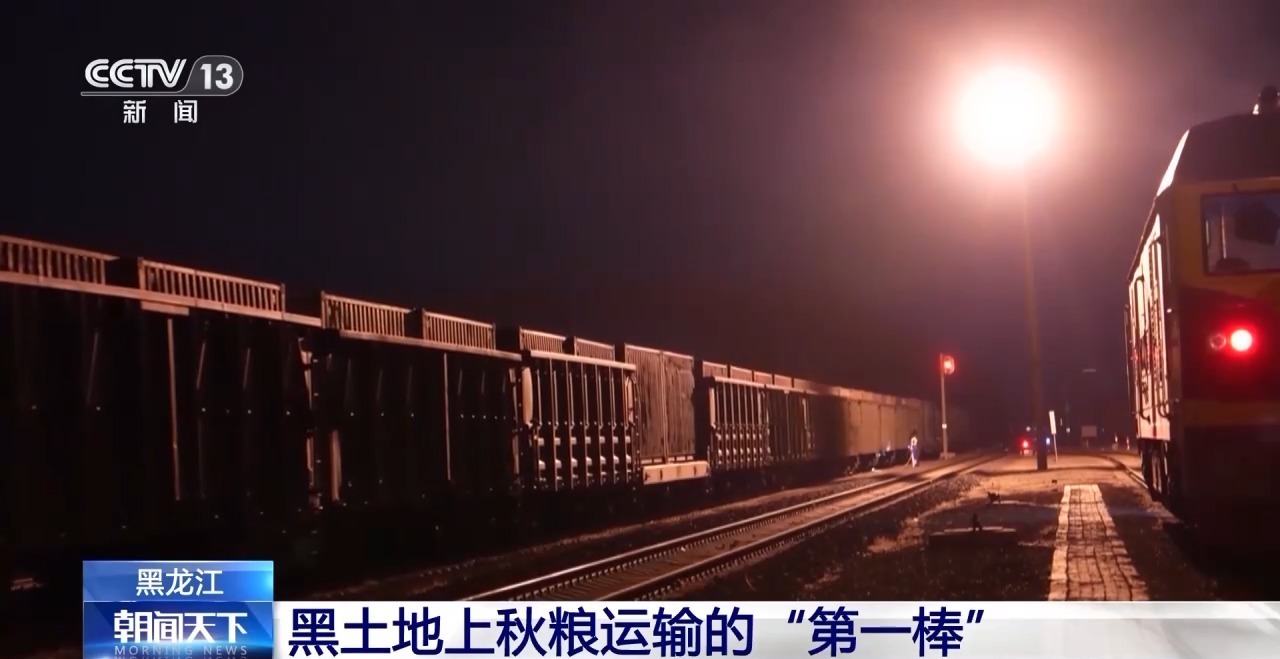 破解运力紧张 黑土地秋粮运输按下“加速键”