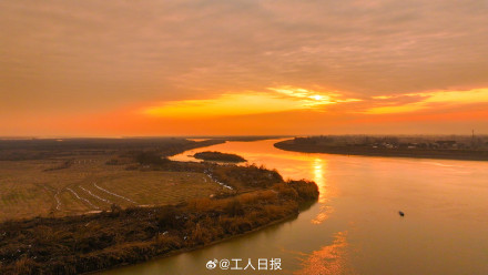 鸟来了,鸟多了,鸟美了! 鸟来了,鸟多了,鸟美了!