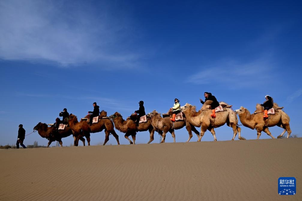 甘肃敦煌：大漠驼影