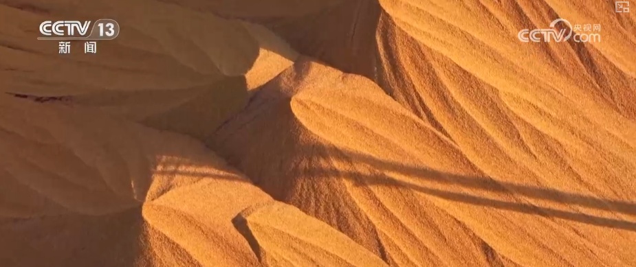 智慧运输!创新“组合拳”保障粮食运输“大动脉”智能、绿色、高效 智慧运输!创新“组合拳”保障粮食运输“大动脉”智能、绿色、高效
