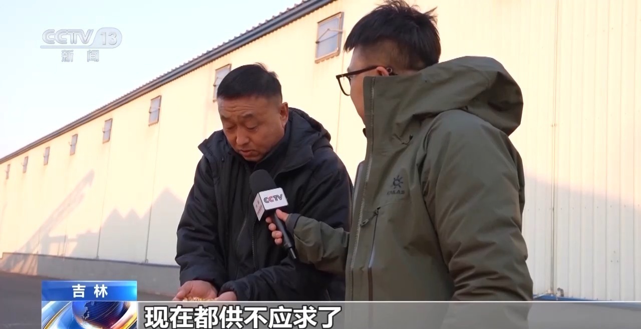 破解运力紧张 黑土地秋粮运输按下“加速键”