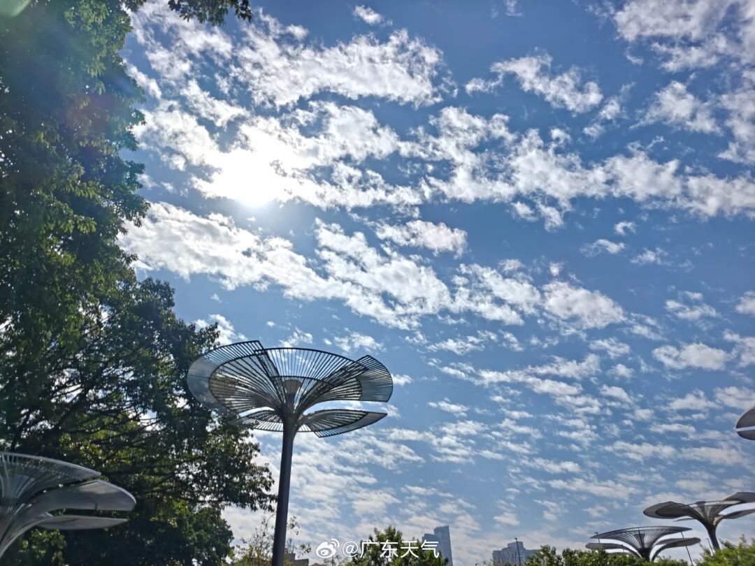 热回夏天？新冷空气今起影响广东，台风“天琴”即将生成！