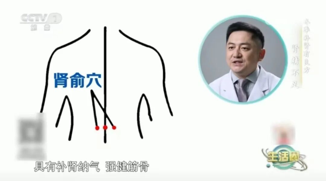 肾越补越虚？肾虚分5种，乱补更伤身！一键查收“对症调养”全指南！