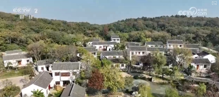 “观鸟+”尽显“年轻”姿态 “生态美”催热冬日文旅消费 “观鸟+”尽显“年轻”姿态 “生态美”催热冬日文旅消费