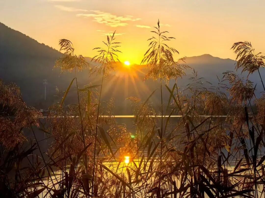 今晚起，杭州天气明显转折！接下来还有一波三折……