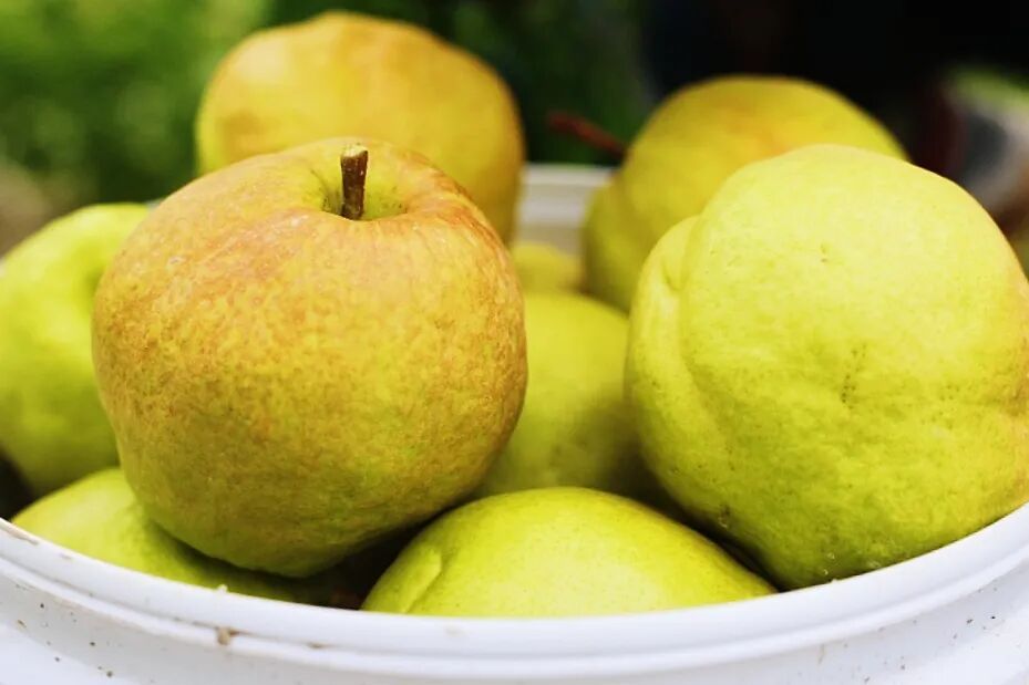 安检仪扫出！这些形状饱满的小圆球，是啥？