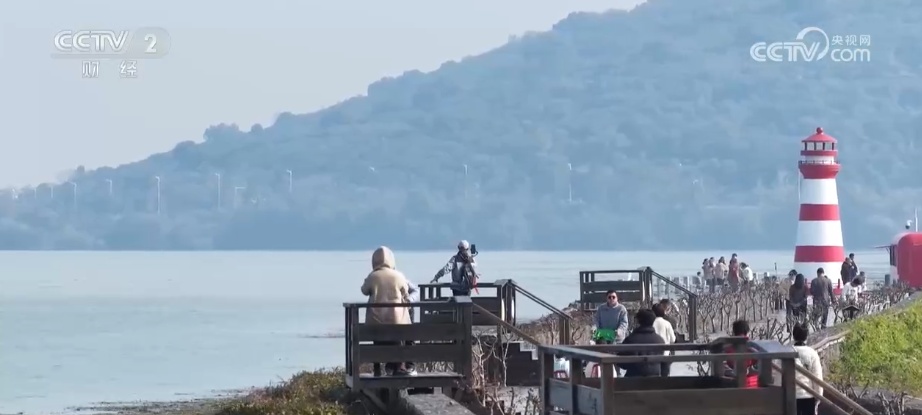 “观鸟+”尽显“年轻”姿态 “生态美”催热冬日文旅消费 “观鸟+”尽显“年轻”姿态 “生态美”催热冬日文旅消费