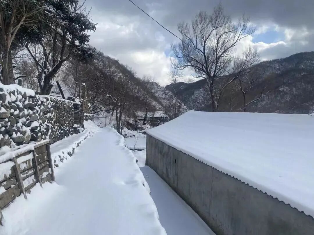 北京这里下雪啦！