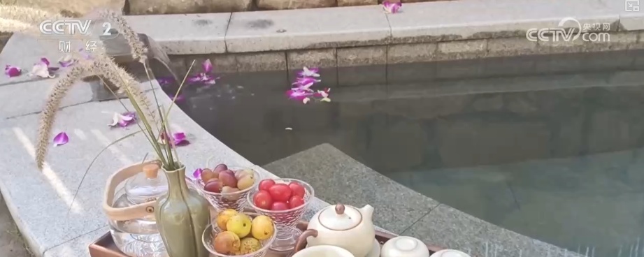 “观鸟+”尽显“年轻”姿态 “生态美”催热冬日文旅消费 “观鸟+”尽显“年轻”姿态 “生态美”催热冬日文旅消费