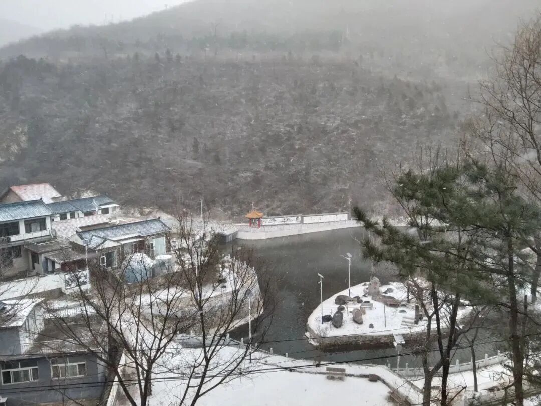 北京这里下雪啦！