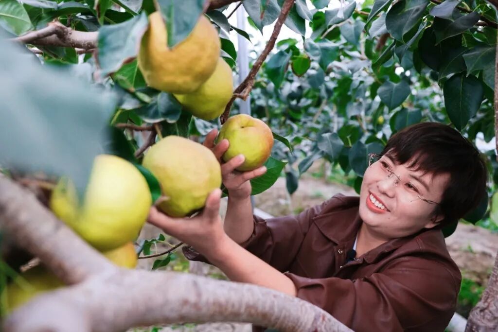 安检仪扫出！这些形状饱满的小圆球，是啥？