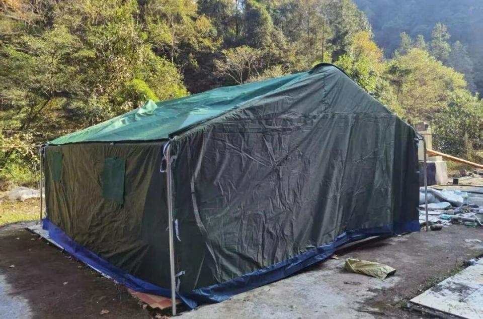 “鸟中仙子”如何回家？长沙护送白冠长尾雉重返山林，背后是一场科学护航