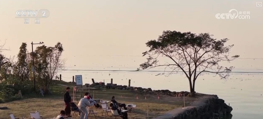 “观鸟+”尽显“年轻”姿态 “生态美”催热冬日文旅消费 “观鸟+”尽显“年轻”姿态 “生态美”催热冬日文旅消费