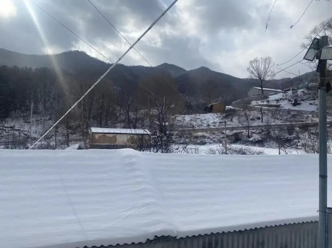 北京这里下雪啦！