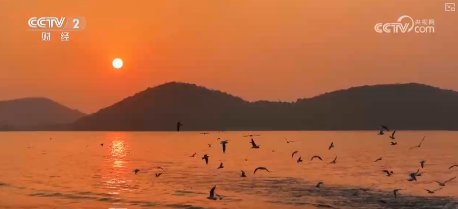 “观鸟+”尽显“年轻”姿态 “生态美”催热冬日文旅消费 “观鸟+”尽显“年轻”姿态 “生态美”催热冬日文旅消费