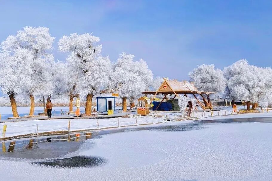 安检仪扫出！这些形状饱满的小圆球，是啥？