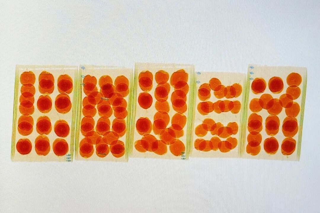 安检仪扫出！这些形状饱满的小圆球，是啥？