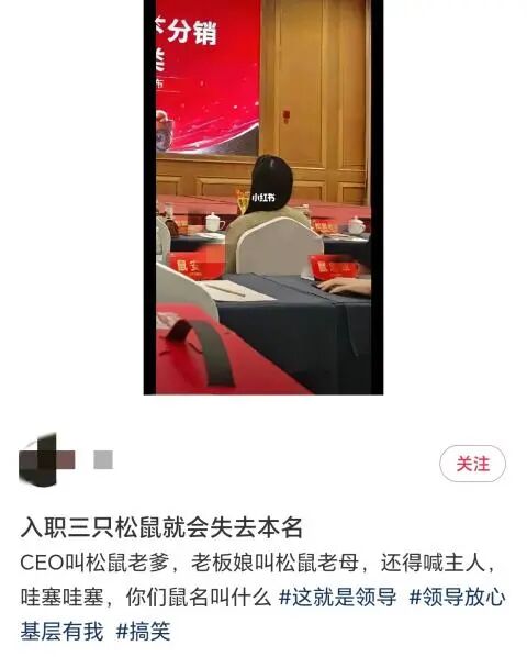 员工入职要改成“鼠”姓？三只松鼠回应：并非强制，更亲切可爱