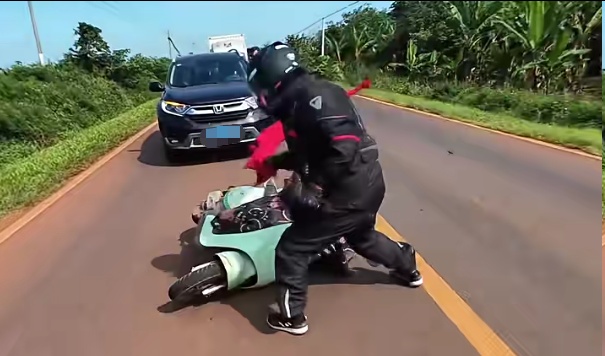 危险!老人被“杀人蜂”围攻,幸亏路过“骑士”出手 危险!老人被“杀人蜂”围攻,幸亏路过“骑士”出手