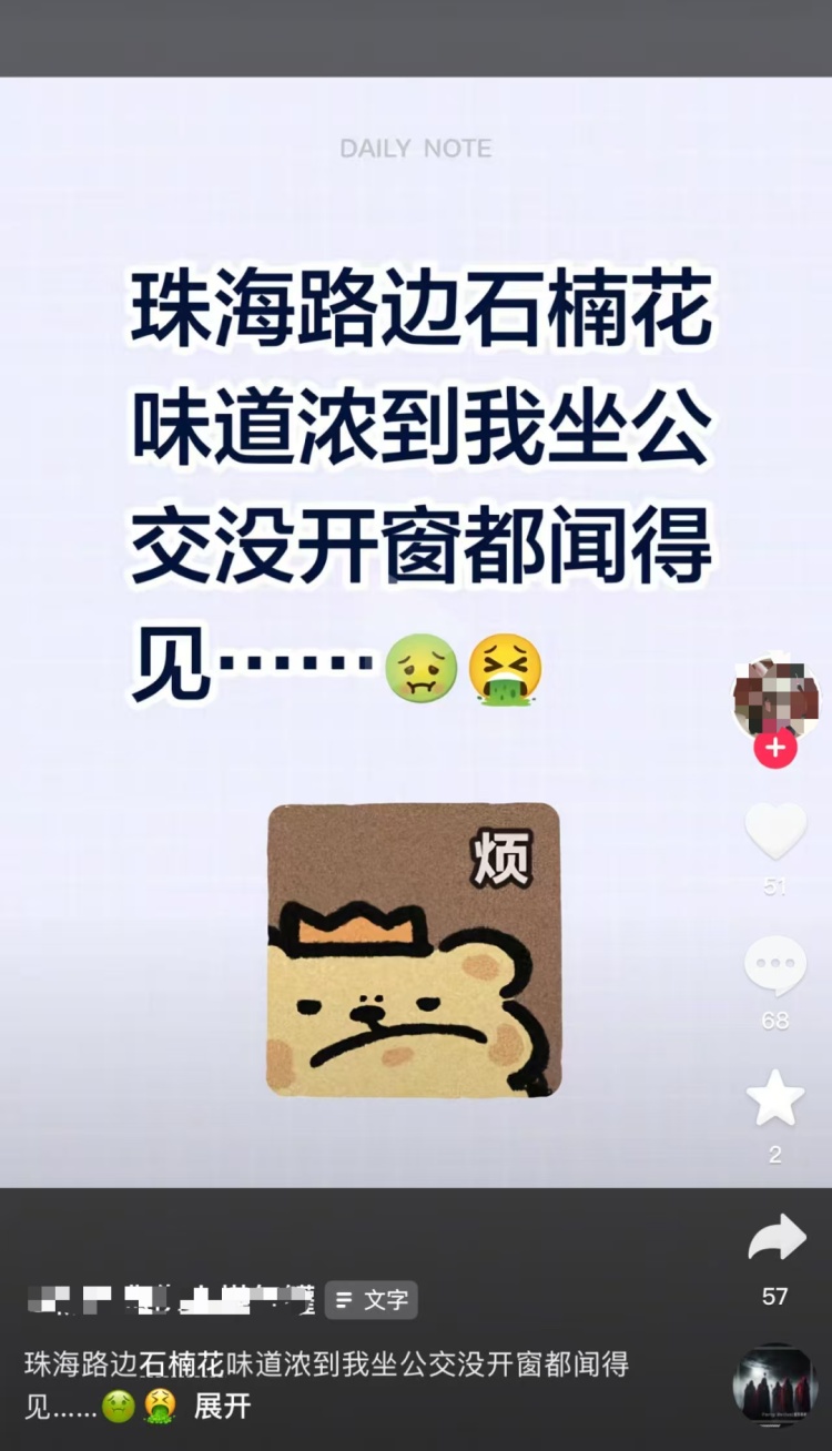 “闻了头晕”“鼻子难受”！珠海街头近期大量出现！