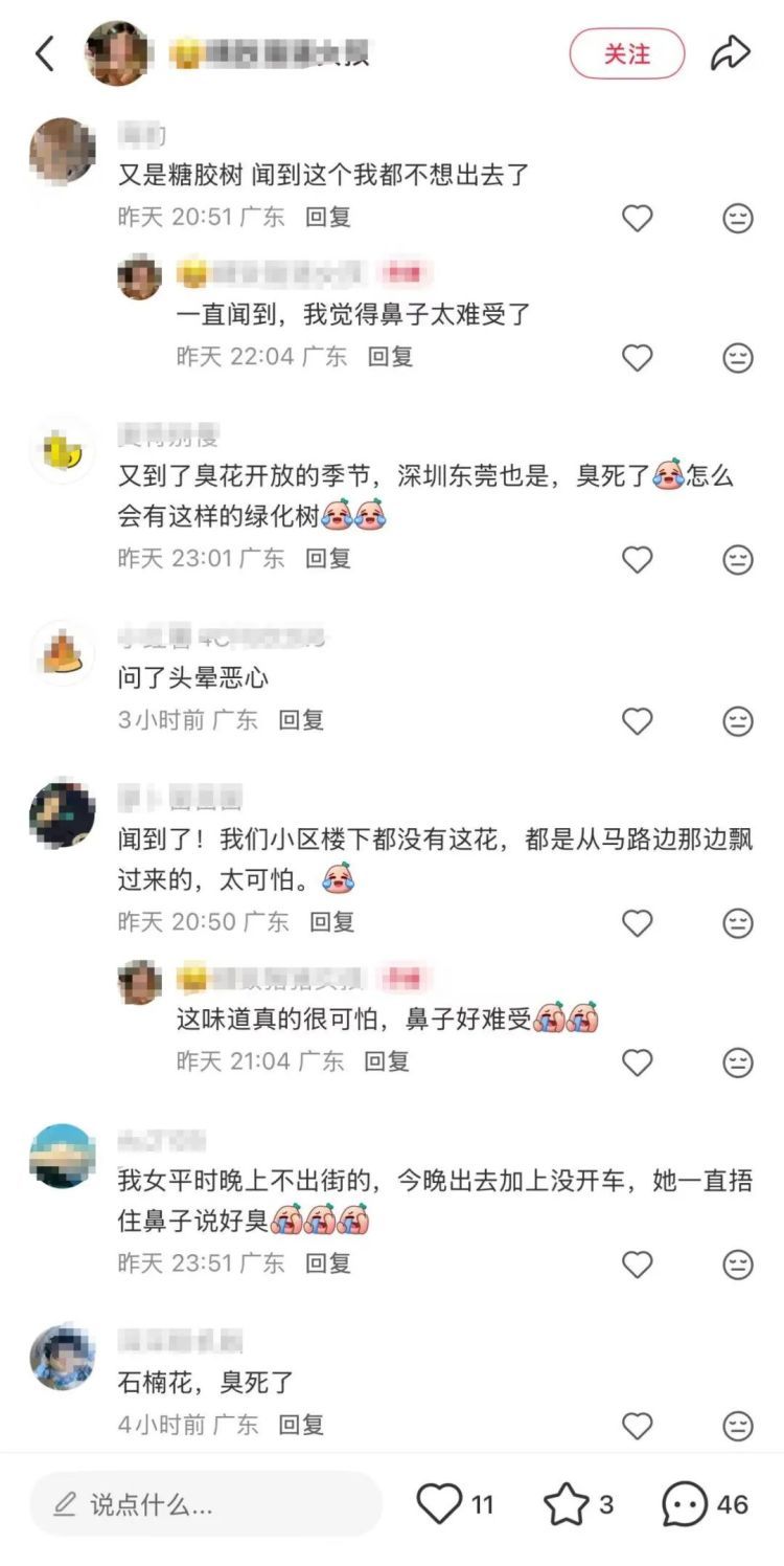“闻了头晕”“鼻子难受”！珠海街头近期大量出现！