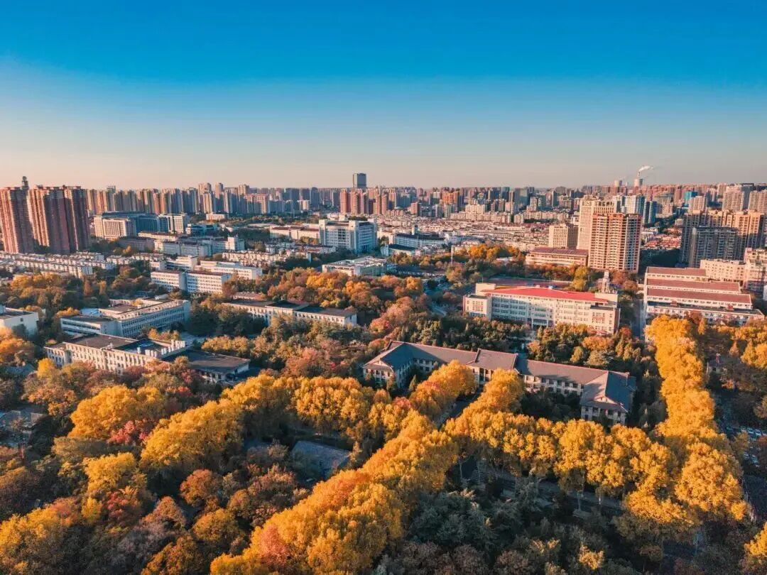 安徽高校的初冬，是“糖炒栗子味”的！